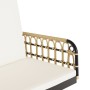 Silla columpio con cojines ratán sintético y acero 105x58x38 cm de , Bancos de jardín - Ref: Foro24-4009298, Precio: 121,34 €...