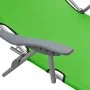 Tumbona con toldo de acero verde de vidaXL, Tumbonas - Ref: Foro24-310335, Precio: 82,16 €, Descuento: %