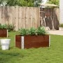 Jardinera de madera maciza de pino marrón 100x50 cm de , Maceteros y jardineras - Ref: Foro24-3295394, Precio: 64,29 €, Descu...