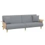 Sofá cama 2 plazas con almohadas taburete terciopelo gris claro de , Sofás - Ref: Foro24-3216215, Precio: 351,90 €, Descuento: %
