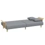 Sofá cama 2 plazas con almohadas taburete terciopelo gris claro de , Sofás - Ref: Foro24-3216215, Precio: 351,90 €, Descuento: %