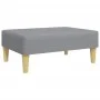 Sofá cama 2 plazas con almohadas taburete terciopelo gris claro de , Sofás - Ref: Foro24-3216215, Precio: 351,90 €, Descuento: %
