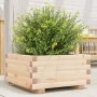 Jardinera de madera maciza de pino 50x50x26,5 cm de , Maceteros y jardineras - Ref: Foro24-847293, Precio: 53,71 €, Descuento: %