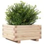 Jardinera de madera maciza de pino 50x50x26,5 cm de , Maceteros y jardineras - Ref: Foro24-847293, Precio: 53,71 €, Descuento: %