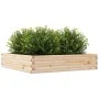 Jardinera de madera maciza de pino 110x110x23 cm de , Maceteros y jardineras - Ref: Foro24-847213, Precio: 104,65 €, Descuent...