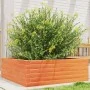Jardinera de madera maciza pino marrón cera 70x70x23 cm de , Maceteros y jardineras - Ref: Foro24-847195, Precio: 68,82 €, De...