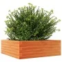 Jardinera de madera maciza pino marrón cera 70x70x23 cm de , Maceteros y jardineras - Ref: Foro24-847195, Precio: 68,82 €, De...