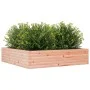 Jardinera madera maciza de abeto Douglas 100x100x23 cm de , Maceteros y jardineras - Ref: Foro24-847211, Precio: 83,97 €, Des...