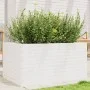 Jardinera de madera maciza de pino blanco 90x60x45,5 cm de , Maceteros y jardineras - Ref: Foro24-847279, Precio: 137,30 €, D...