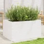 Jardinera de madera maciza de pino blanco 90x60x45,5 cm de , Maceteros y jardineras - Ref: Foro24-847279, Precio: 137,30 €, D...