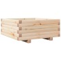 Jardinera de madera maciza de pino 60x60x26,5 cm de , Maceteros y jardineras - Ref: Foro24-847298, Precio: 77,02 €, Descuento: %