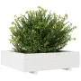 Jardinera de madera maciza de pino blanco 90x90x26,5 cm de , Maceteros y jardineras - Ref: Foro24-847314, Precio: 114,04 €, D...