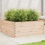 Jardinera de madera maciza de pino 110x110x46 cm de , Maceteros y jardineras - Ref: Foro24-3282434, Precio: 203,95 €, Descuen...