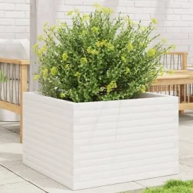 Jardinera madera maciza de pino blanco 70x70x46 cm de , Maceteros y jardineras - Ref: Foro24-3282415, Precio: 161,67 €, Descu...