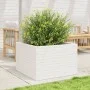 Jardinera madera maciza de pino blanco 70x70x46 cm de , Maceteros y jardineras - Ref: Foro24-3282415, Precio: 161,67 €, Descu...