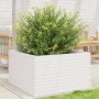 Jardinera de madera maciza de pino blanca 80x80x46 cm de , Maceteros y jardineras - Ref: Foro24-3282420, Precio: 183,40 €, De...