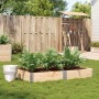 Jardinera de madera maciza de pino 150x100 cm de , Maceteros y jardineras - Ref: Foro24-3295411, Precio: 61,03 €, Descuento: %
