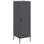 Aparador de acero gris antracita 36x39x113 cm de , Aparadores - Ref: Foro24-843008, Precio: 100,97 €, Descuento: %
