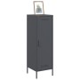 Aparador de acero gris antracita 36x39x113 cm de , Aparadores - Ref: Foro24-843008, Precio: 100,97 €, Descuento: %