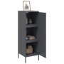 Aparador de acero gris antracita 36x39x113 cm de , Aparadores - Ref: Foro24-843008, Precio: 100,97 €, Descuento: %