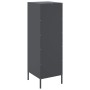 Aparador de acero gris antracita 36x39x113 cm de , Aparadores - Ref: Foro24-843008, Precio: 100,97 €, Descuento: %