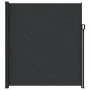 Toldo lateral retráctil negro 220x300 cm de , Sombrillas - Ref: Foro24-4004369, Precio: 112,88 €, Descuento: %