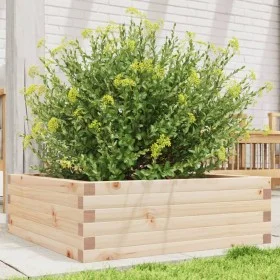 Jardinera de madera maciza de pino 70x70x23 cm de , Maceteros y jardineras - Ref: Foro24-847193, Precio: 72,47 €, Descuento: %