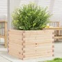 Jardinera de madera maciza de pino 60x60x45,5 cm de , Maceteros y jardineras - Ref: Foro24-847248, Precio: 93,23 €, Descuento: %