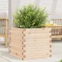 Jardinera de madera maciza de pino 50x50x45,5 cm de , Maceteros y jardineras - Ref: Foro24-847243, Precio: 79,39 €, Descuento: %