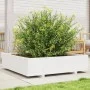 Jardinera madera maciza de pino blanco 100x100x26,5 cm de , Maceteros y jardineras - Ref: Foro24-847319, Precio: 128,04 €, De...