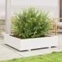 Jardinera madera maciza de pino blanco 100x100x26,5 cm de , Maceteros y jardineras - Ref: Foro24-847319, Precio: 128,04 €, De...
