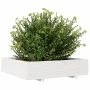 Jardinera madera maciza de pino blanco 100x100x26,5 cm de , Maceteros y jardineras - Ref: Foro24-847319, Precio: 128,04 €, De...