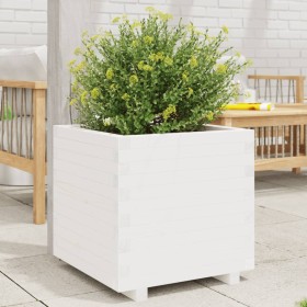 Jardinera madera maciza de pino blanco 60x60x49,5 cm de , Maceteros y jardineras - Ref: Foro24-847359, Precio: 155,19 €, Desc...