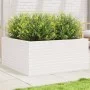 Jardinera madera maciza de pino blanco 100x100x46 cm de , Maceteros y jardineras - Ref: Foro24-3282430, Precio: 223,33 €, Des...