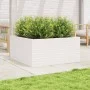 Jardinera madera maciza de pino blanco 100x100x46 cm de , Maceteros y jardineras - Ref: Foro24-3282430, Precio: 223,33 €, Des...