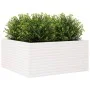 Jardinera madera maciza de pino blanco 100x100x46 cm de , Maceteros y jardineras - Ref: Foro24-3282430, Precio: 223,33 €, Des...