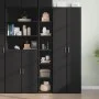 Aparador alto madera de ingeniería negro 30x41x185 cm de , Aparadores - Ref: Foro24-846412, Precio: 86,73 €, Descuento: %
