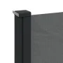 Toldo lateral retráctil antracita 100x300 cm de , Sombrillas - Ref: Foro24-4004278, Precio: 77,05 €, Descuento: %