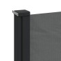 Toldo lateral retráctil antracita 100x300 cm de , Sombrillas - Ref: Foro24-4004278, Precio: 83,02 €, Descuento: %