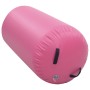 Rollo hinchable de gimnasia con bomba PVC rosa 120x75 cm de vidaXL, Yoga y pilates - Ref: Foro24-92715, Precio: 106,78 €, Des...
