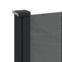 Toldo lateral retráctil gris antracita 200x300 cm de , Sombrillas - Ref: Foro24-4004368, Precio: 116,12 €, Descuento: %