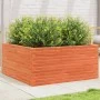 Jardinera de madera maciza pino marrón cera 100x100x46 cm de , Maceteros y jardineras - Ref: Foro24-3282431, Precio: 222,58 €...