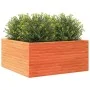 Jardinera de madera maciza pino marrón cera 100x100x46 cm de , Maceteros y jardineras - Ref: Foro24-3282431, Precio: 222,58 €...