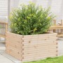 Jardinera de madera maciza de pino 80x80x46 cm de , Maceteros y jardineras - Ref: Foro24-3282419, Precio: 153,17 €, Descuento: %
