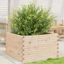 Jardinera de madera maciza de pino 80x80x46 cm de , Maceteros y jardineras - Ref: Foro24-3282419, Precio: 151,26 €, Descuento: %