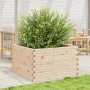 Jardinera de madera maciza de pino 80x80x46 cm de , Maceteros y jardineras - Ref: Foro24-3282419, Precio: 151,26 €, Descuento: %