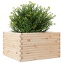 Jardinera de madera maciza de pino 80x80x46 cm de , Maceteros y jardineras - Ref: Foro24-3282419, Precio: 153,17 €, Descuento: %