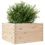 Jardinera de madera maciza de pino 80x80x46 cm de , Maceteros y jardineras - Ref: Foro24-3282419, Precio: 151,26 €, Descuento: %