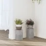 Soportes de plantas 2 uds madera gris hormigón 10x10x18 cm de , Soportes para macetas - Ref: Foro24-852882, Precio: 19,34 €, ...