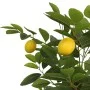 Künstlicher Zitronenbaum mit 3 grünen PP-Stämmen, 120 cm. von , Bäume - Ref: Foro24-4010677, Preis: 78,23 €, Rabatt: %